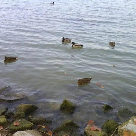 アパート Crystal Apartement A Balatonföldvár